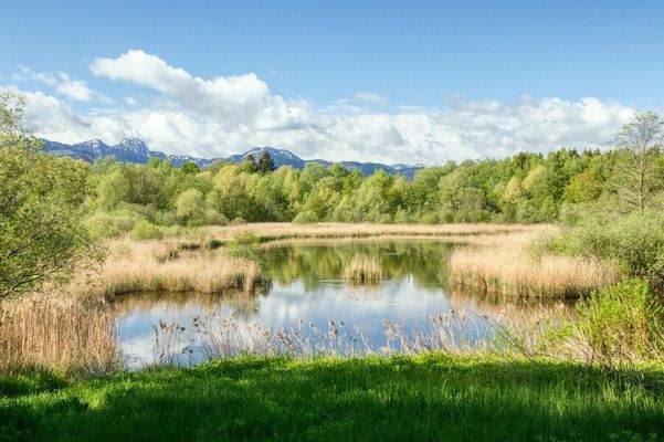 Naherholungsgebiet am Tonwerkweiher in unmittelbarer Nähe