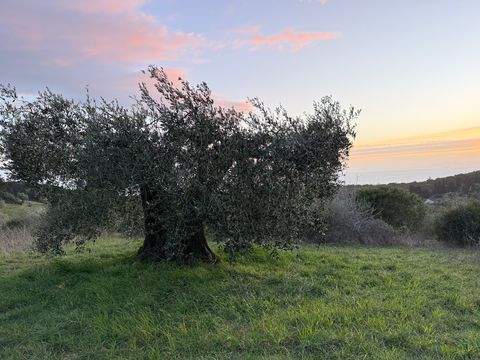 Follonica Grundstücke, Follonica Grundstück kaufen
