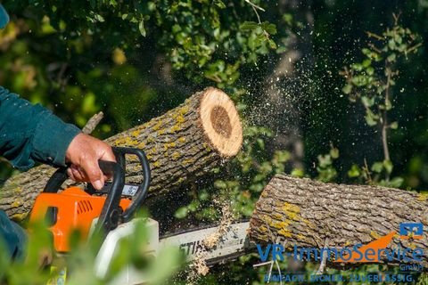 Buch am Wald Bauernhöfe, Landwirtschaft, Buch am Wald Forstwirtschaft