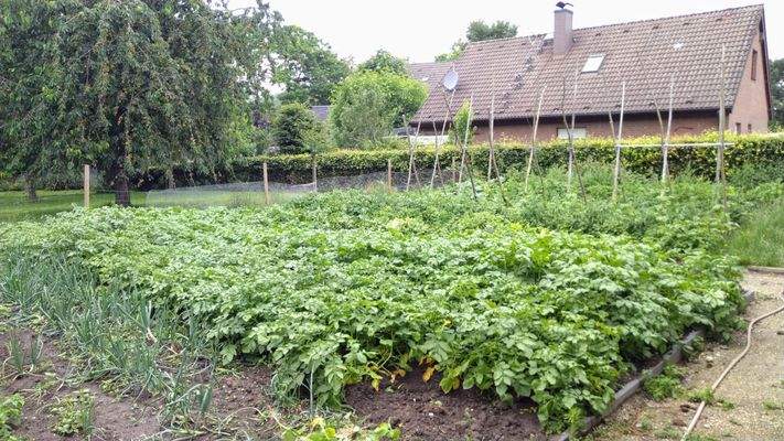 Gemüsegarten