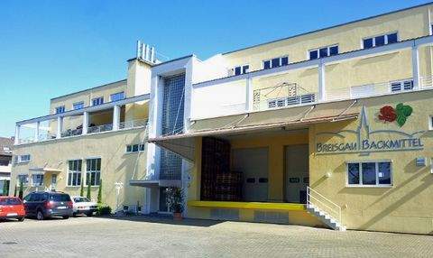 Freiburg im Breisgau Büros, Büroräume, Büroflächen 