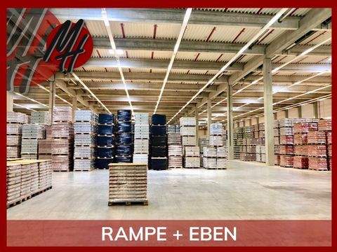 Hanau Halle, Hanau Hallenfläche