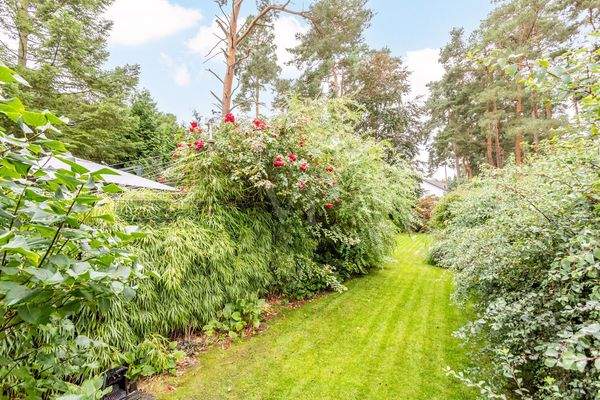 Blick in den Garten hinter dem Carport