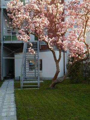 Rückseite mit Wärmeverbundsystem