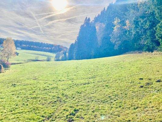 das großzügige Areal