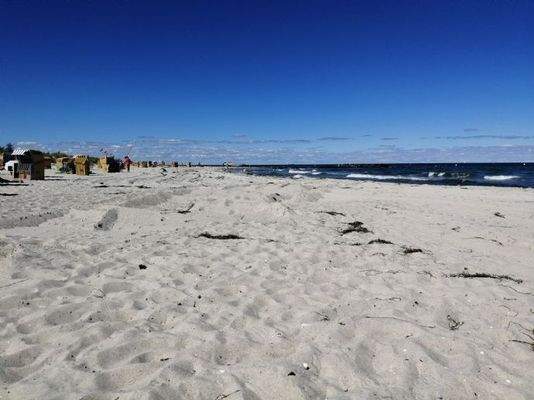 IMG_20200901_130505_resized_20201006_091346375