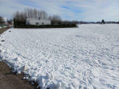 Pfaffstätt Grundstücke, Pfaffstätt Grundstück kaufen