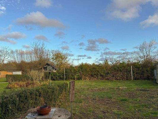 12. Blick in den Garten.jpg