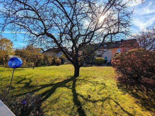 Impressionen des herrlichen Südgartens