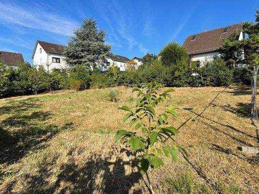 Diagonalansicht links vorne