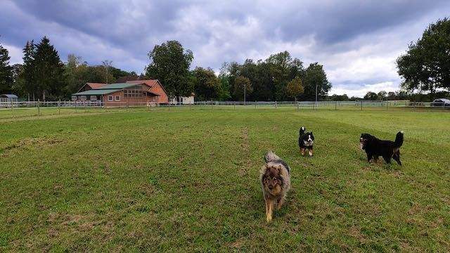 herrliche Alleinlage