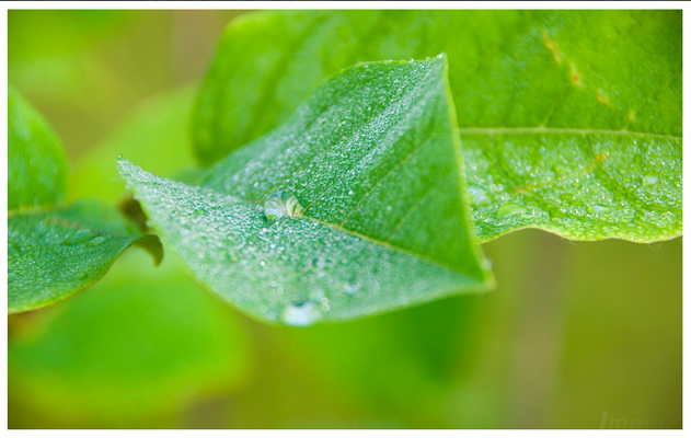 Heilung für Körper Seele Geist