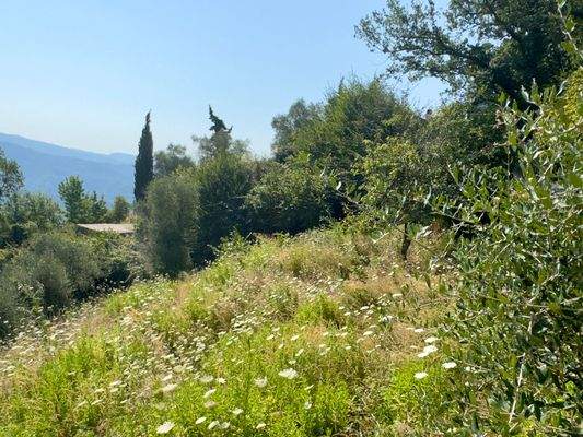 DA979_15 TERRA ITALIA IMMOBILIEN_LIGURIEN_DOLCEACQ