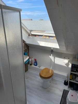 Dach Bad Dusche.jpg