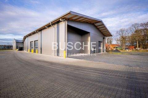 Ladbergen Halle, Ladbergen Hallenfläche