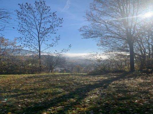 Blick vom Grundstück