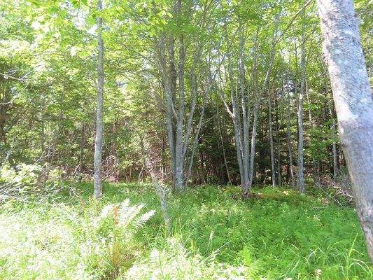 Cape Breton - Wunderschönes 11-Hektar-Areal mit 23