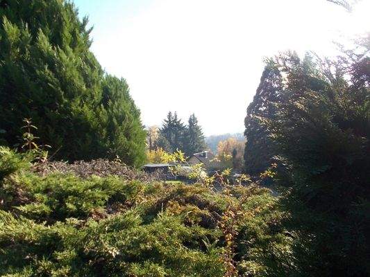 Blick von der Terrasse