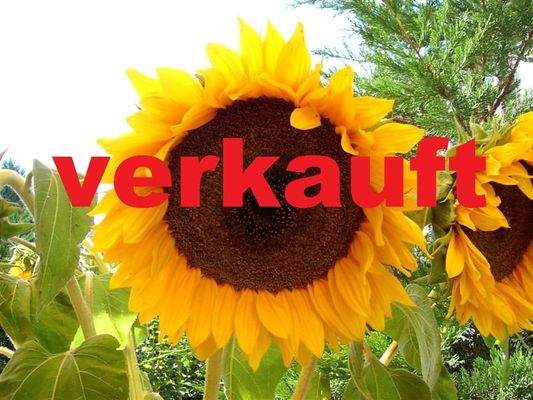verkauft.JPG
