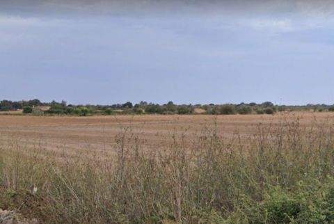 Porreres Häuser, Porreres Haus kaufen