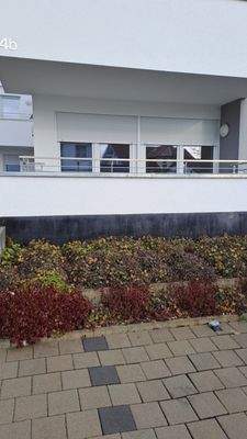 WhatsApp Image 2025-11-29 at 10.26.26.jpeg