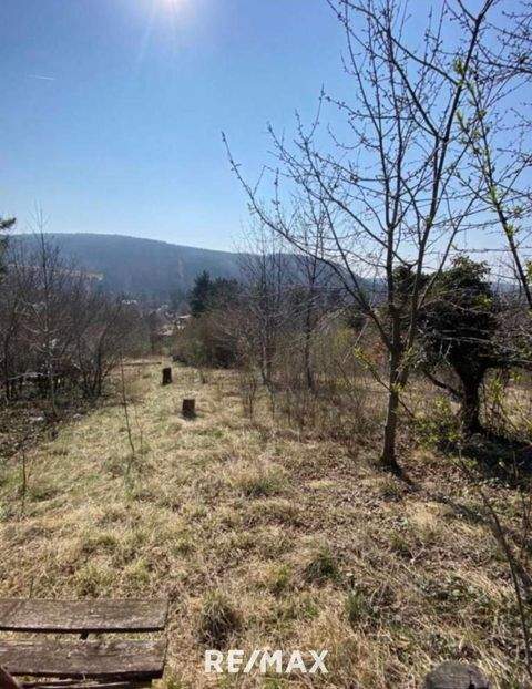 Berndorf Grundstücke, Berndorf Grundstück kaufen