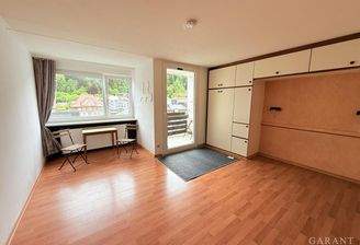 Wohn-/Schlafzimmer