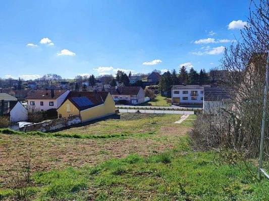 IMG_20250318_104742_