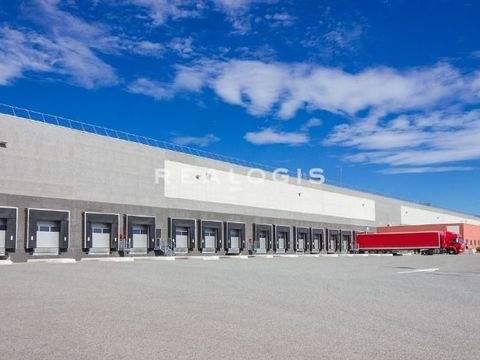 Berlin Halle, Berlin Hallenfläche