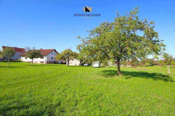 Das Anwesen in sattem Grün...