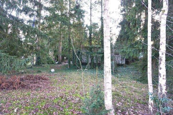 großes Gartengrundstück