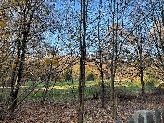 Blick in Greizer Park