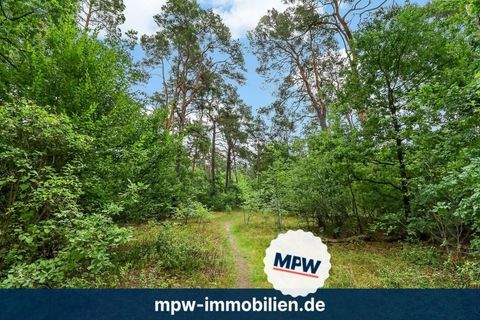 Berlin Bauernhöfe, Landwirtschaft, Berlin Forstwirtschaft