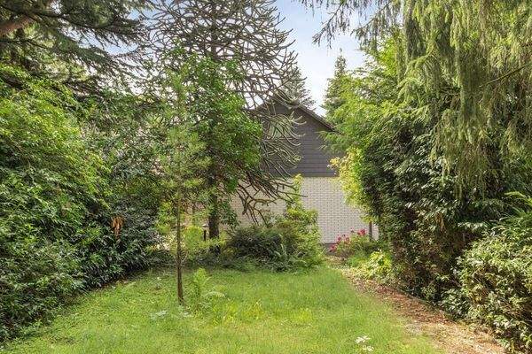 Garten im hinteren Bereich