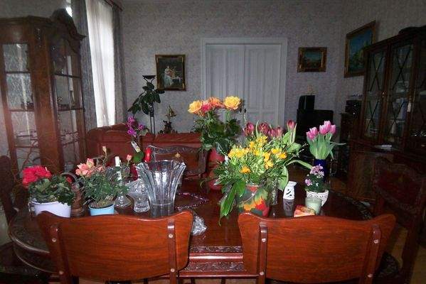 Bilder von Kodak 813 (2).JPG