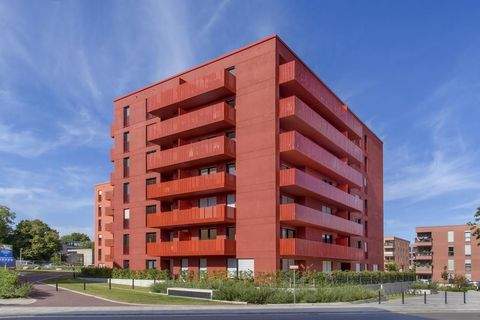 Bonn Wohnungen, Bonn Wohnung mieten