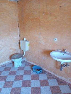 TGLQ8928 - Kopie.JPG