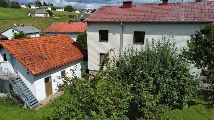 dji fly     photo optimized