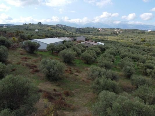 Kreta, Tsivaras: Grundstück zum Verkauf in Tsivaras