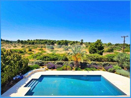 9b9b4a52063f4134bc5faeaea8e4d85c-original