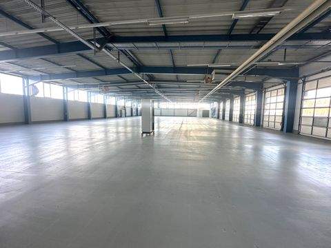 Limbach-Oberfrohna Halle, Limbach-Oberfrohna Hallenfläche