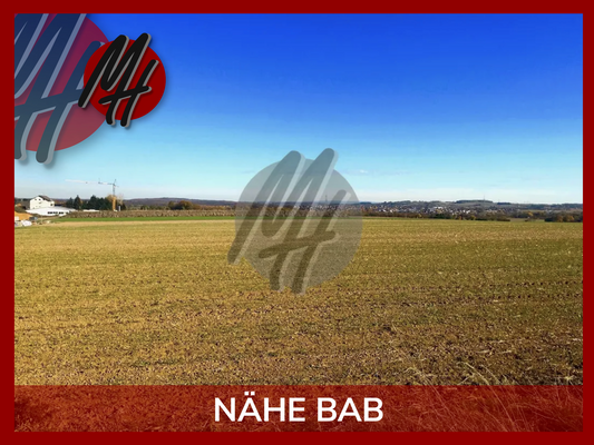 INFOS UNTER: 06171-586000