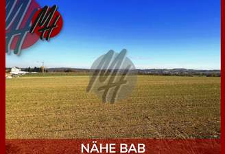 INFOS UNTER: 06171-586000