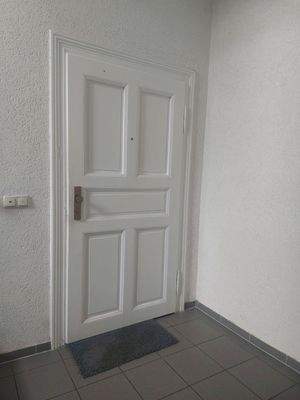Wohnungstüren