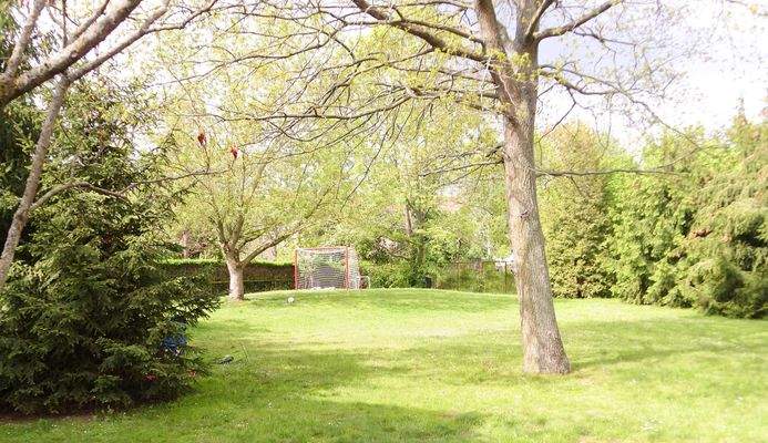 Gemeinschafts-Garten