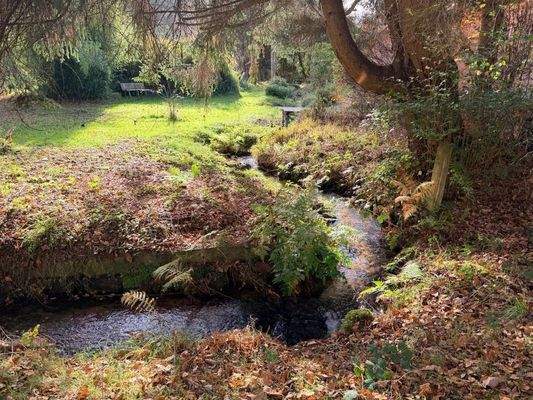 Grundstück-Bachlauf