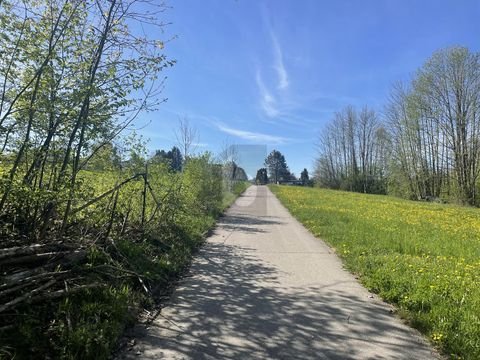 Berg Grundstücke, Berg Grundstück kaufen