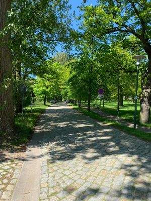 18 Straße zum Meer.jpg