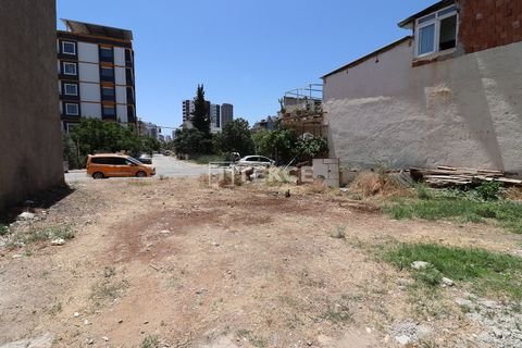 Mersin Bauernhöfe, Landwirtschaft, Mersin Forstwirtschaft