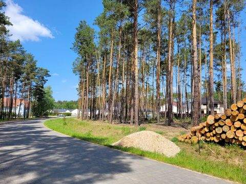 Borkwalde Grundstücke, Borkwalde Grundstück kaufen